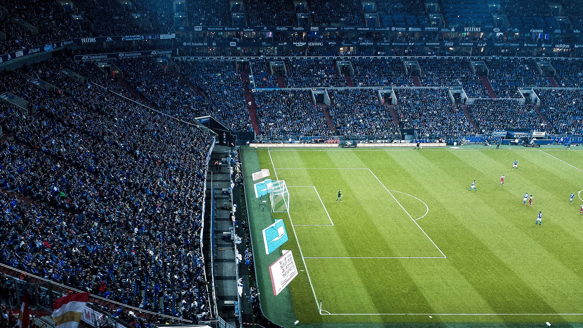 当东方之火点燃欧洲之夜，张本智和观战葡萄牙鏖战瑞典的体育启示录