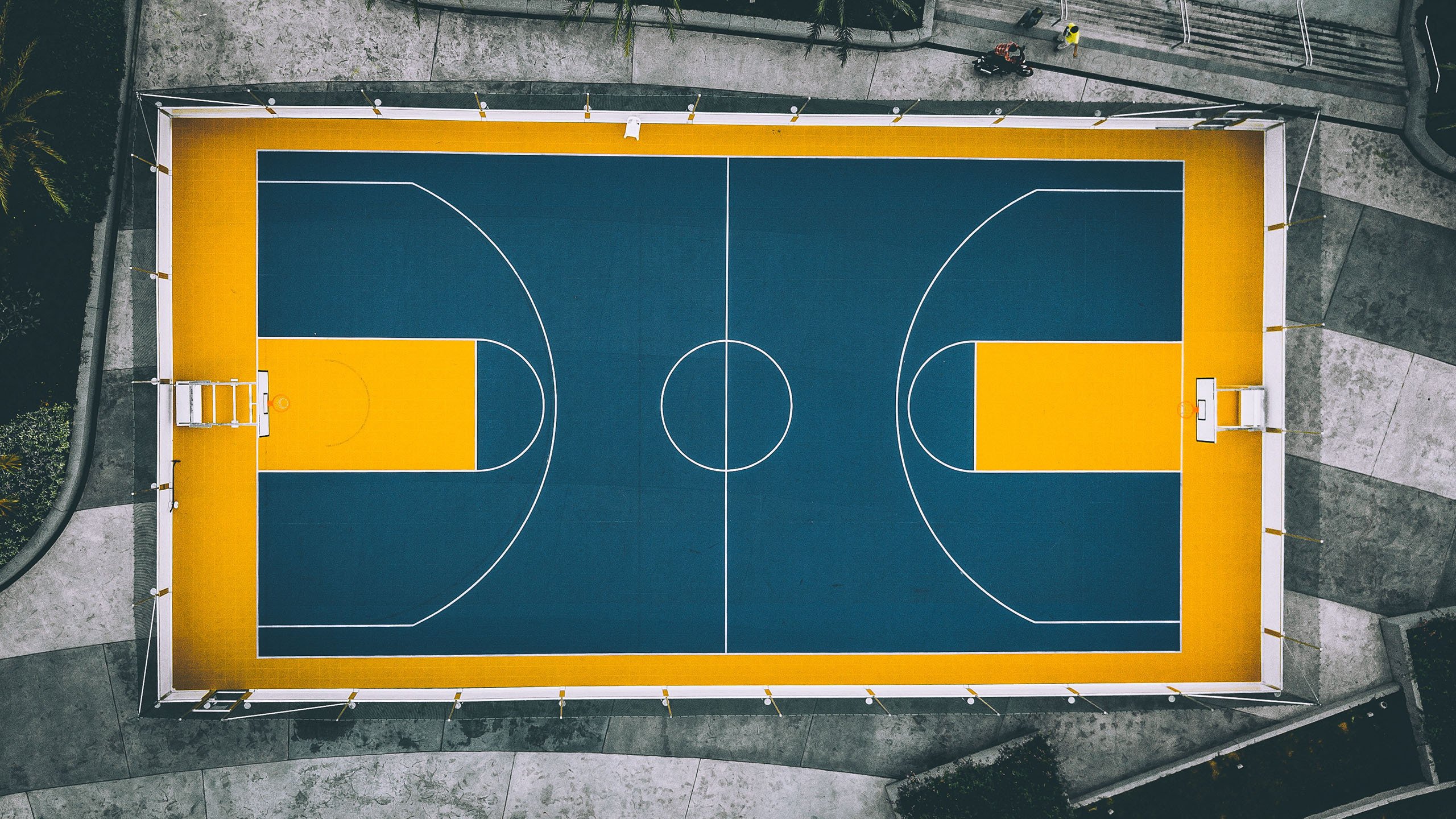 边路风暴与战术智慧的完美交响，坎塞洛如何用一场个人秀撕裂芬兰钢铁防线，哥伦比亚的晋级之路从此一马平川